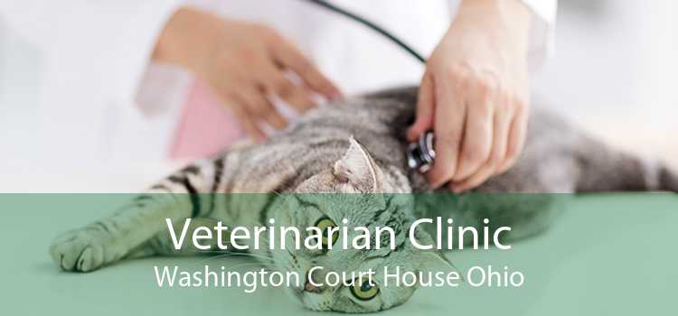 Veterinarian Clinic Washington Court House Ohio