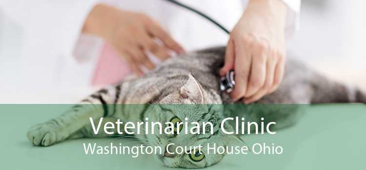 Veterinarian Clinic Washington Court House Ohio
