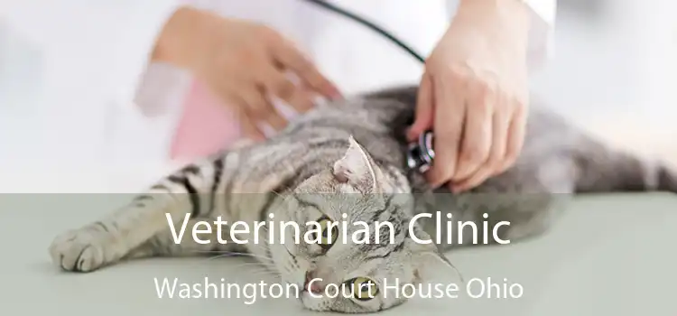 Veterinarian Clinic Washington Court House Ohio
