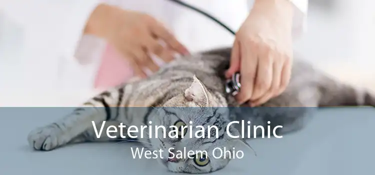 Veterinarian Clinic West Salem Ohio