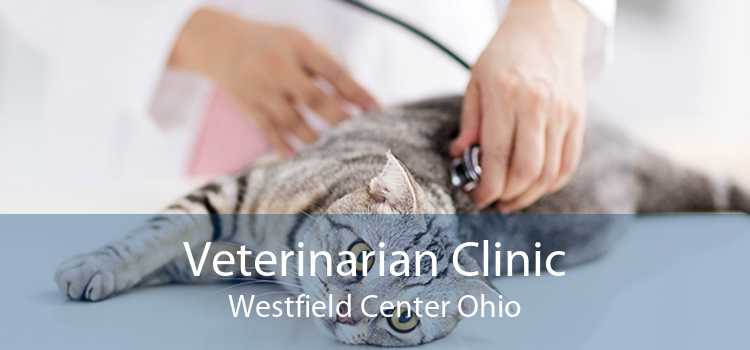 Veterinarian Clinic Westfield Center Ohio