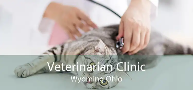 Veterinarian Clinic Wyoming Ohio
