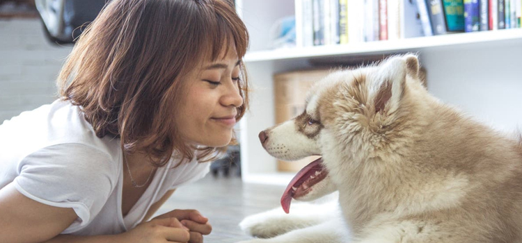 spay and neuter care in Wyoming